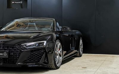 audi_r8-spyder-v10-52-fsi-540-s-tronic-7-quattro_rws_41