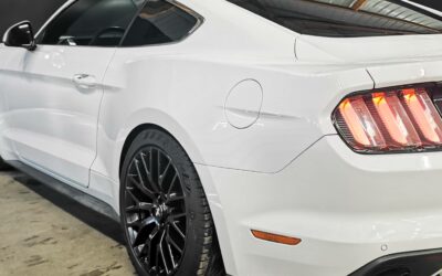 ford_mustang-fastback-23-ecoboost-317_7