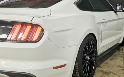 ford_mustang-fastback-23-ecoboost-317_8