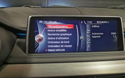 bmw_x6-xdrive40d-313-ch_m-sport-a_46