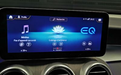 mercedes_glc-300-de-9g-tronic-4matic_amg-line_40