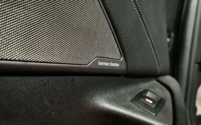 bmw_530d-xdrive-265-ch-bva8_luxury_19