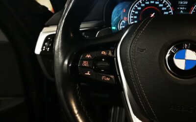 bmw_530d-xdrive-265-ch-bva8_luxury_23