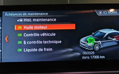 bmw_530d-xdrive-265-ch-bva8_luxury_61