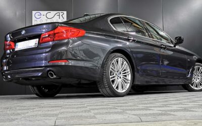 bmw_530d-xdrive-265-ch-bva8_luxury_8