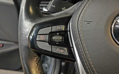 bmw_530d-265-ch-bva8_business_28