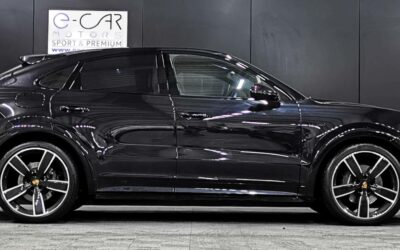 porsche_cayenne-e-hybrid-30-v6-462-ch-tiptronic-bva_3