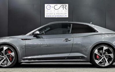audi_rs5-coupe-v6-29-tfsi-450-tiptronic-8-quattro_8