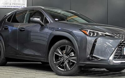 lexus_ux-300h-2wd_luxe_2