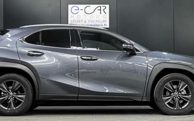 lexus_ux-300h-2wd_luxe_3