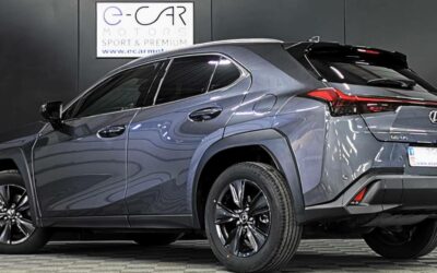 lexus_ux-300h-2wd_luxe_6