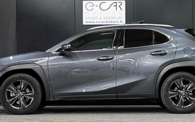 lexus_ux-300h-2wd_luxe_8