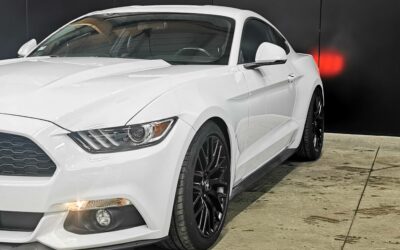 ford_mustang-convertible-23-ecoboost-317_15