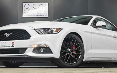 ford_mustang-fastback-23-ecoboost-317_0