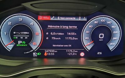 audi_a6-avant-40-tdi-204-ch-s-tronic-7_avus_25