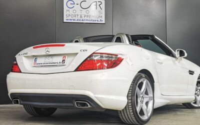 mercedes_slk-250-cdi-blueefficiency_a_4