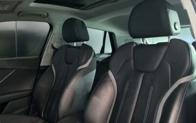 audi_q2-20-tfsi-190-ch-s-tronic-7-quattro_design-luxe_14