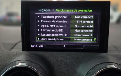 audi_q2-20-tfsi-190-ch-s-tronic-7-quattro_design-luxe_38