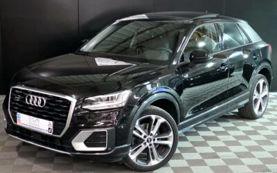 audi_q2-20-tfsi-190-ch-s-tronic-7-quattro_design-luxe_7